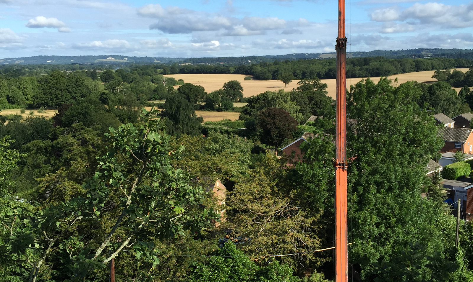 Tree Surgery in Horsham, Surrey with crane