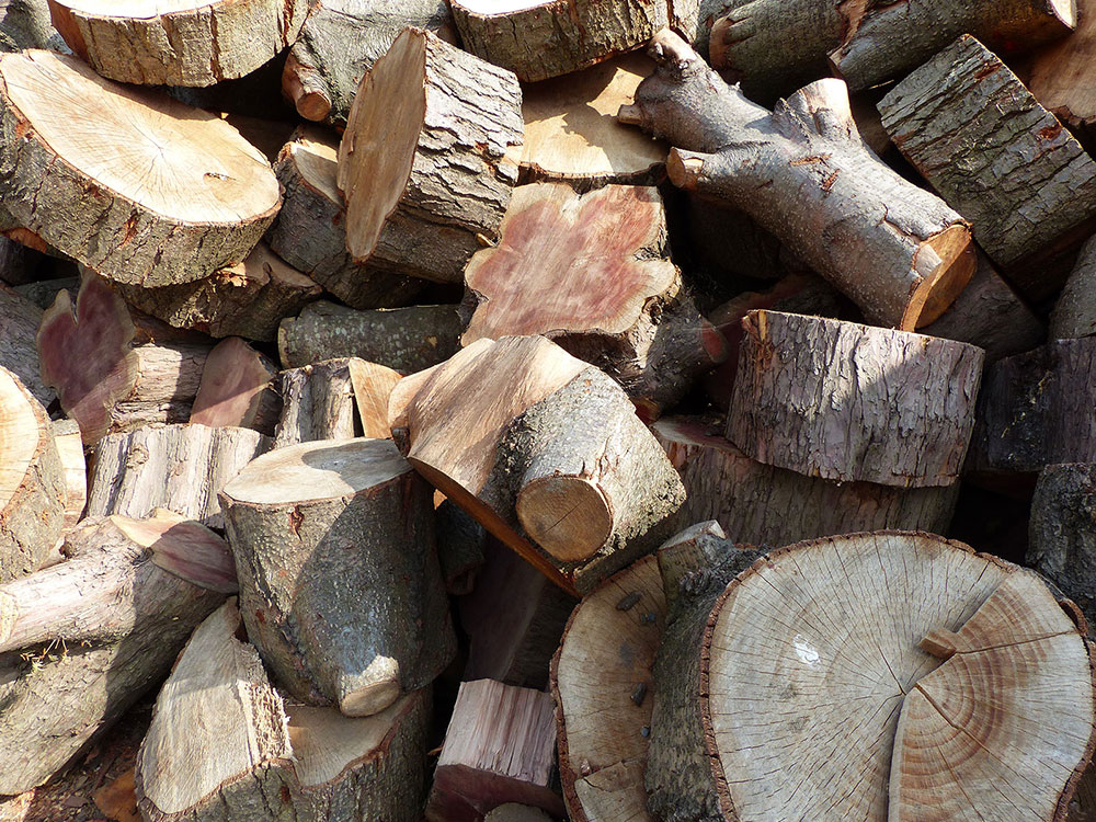Logs in wood pile